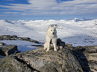 opps_20221227_63ab0a8ddcd0d.jpg