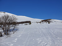 opps_20221227_63ab0c1d0d64a.jpg