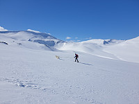 opps_20221227_63ab0cc5d6888.jpg