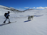 opps_20221227_63ab0cd00cd6f.jpg