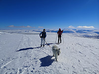 opps_20221227_63ab0cd1203d6.jpg