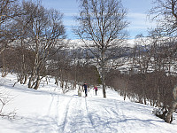 opps_20221227_63ab106532961.jpg