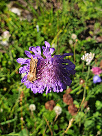 opps_20221227_63ab47db1c7e6.jpg