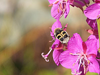 opps_20221227_63ab47dd3c7f4.jpg