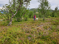 opps_20221227_63ab4bc04ae90.jpg