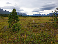 opps_20221227_63ab4bc229ace.jpg