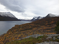 opps_20221228_63ac9c87aecd5.jpg