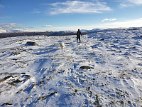 opps_20221228_63ac9da9123d4.jpg