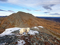 opps_20221228_63ac9ec3a180b.jpg