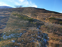 opps_20221228_63ac9fc4ea8c4.jpg