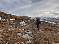 opps_20221228_63aca2c191a89.jpg