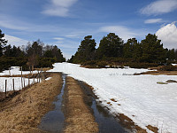 opps_20230807_64d13ceb056fe.jpg