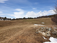 opps_20230807_64d13cef68d19.jpg