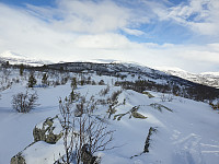 opps_20230807_64d1592ccef06.jpg