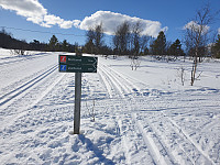 opps_20230808_64d217de5b535.jpg