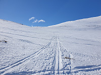 opps_20230808_64d217e235ce7.jpg