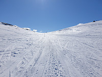 opps_20230808_64d217e372848.jpg