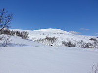 opps_20230808_64d2404367ad0.jpg