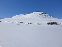 opps_20230808_64d2404478f0e.jpg