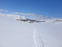 opps_20230808_64d240456c15d.jpg