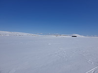 opps_20230808_64d240465373d.jpg