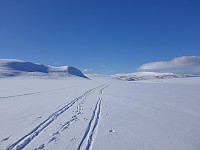 opps_20230808_64d240496f50a.jpg