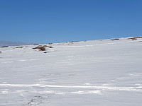 opps_20230808_64d2404a7867d.jpg