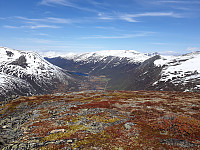 opps_20230808_64d24576e5fdb.jpg