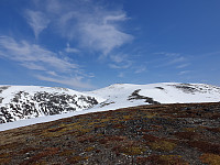opps_20230808_64d2457869728.jpg
