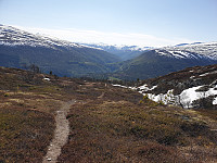 opps_20230808_64d2467858f60.jpg