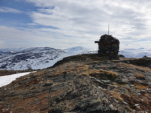 Høghøa