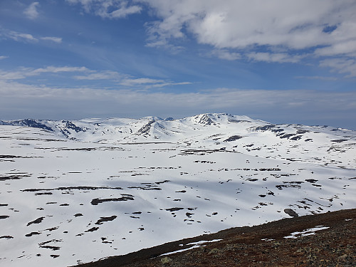 Svarthøtta