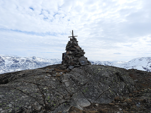 Grønhøa