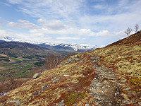 opps_20230808_64d2a007009e7.jpg