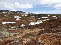 opps_20230808_64d2a00b6e56c.jpg