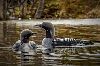 opps_20230808_64d2a67aa3419.jpg
