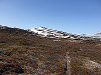 opps_20230809_64d3ff6f94ac8.jpg