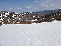 opps_20230809_64d3ff70e0edc.jpg