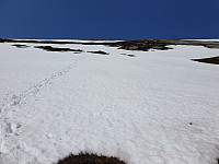 opps_20230809_64d3ff7681161.jpg