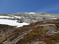 opps_20230809_64d3ff77d2b4d.jpg