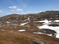 opps_20230809_64d3ff796bc62.jpg