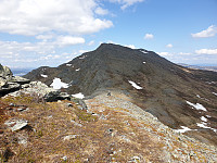 opps_20230813_64d8ed254c38d.jpg