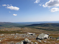 opps_20230813_64d8ee785f035.jpg