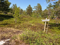 opps_20230813_64d8f01845683.jpg