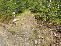 opps_20230813_64d8f122be836.jpg