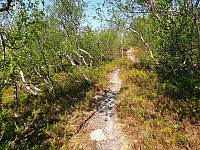 opps_20230813_64d8f12566d95.jpg