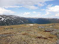 opps_20230813_64d8f3bb9a63a.jpg