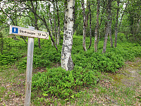 opps_20230815_64dbe76a39418.jpg
