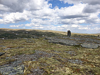 opps_20230816_64dca5708cfec.jpg