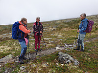 opps_20230816_64dd335ab4c28.jpg